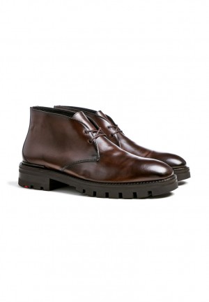 Brown Men's LLOYD WEBSTER Ankle Boots | 46739UKIB